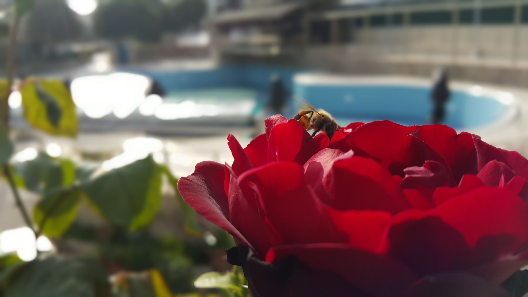 Tu Casa Gelidonya Hotel Kemer Kültér fotó